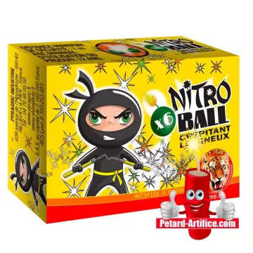 boite de 6 Nitro Ball