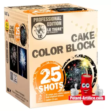 Feu d'artifice Cake Color Block