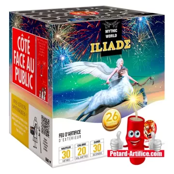 Pétard Bison 5 - LE TIGRE, le paquet de 3 pétards à mèches à prix discount