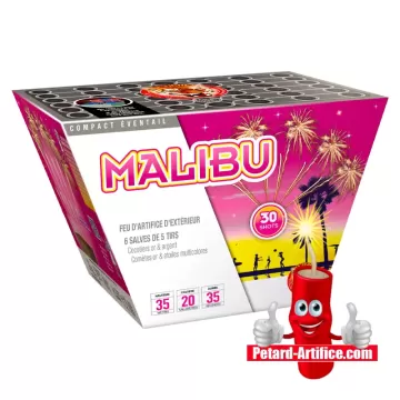 Feu d'artifice Malibu