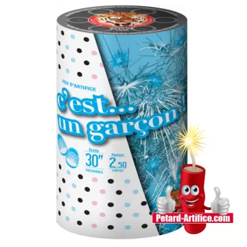 Blue Baby Shower Firework